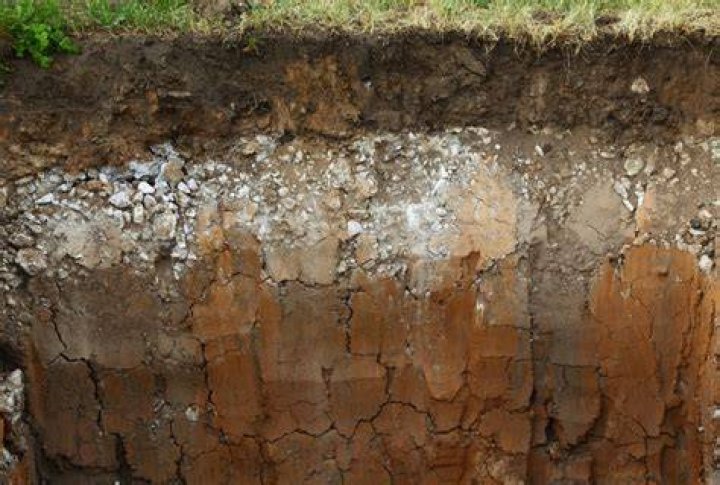 Soil