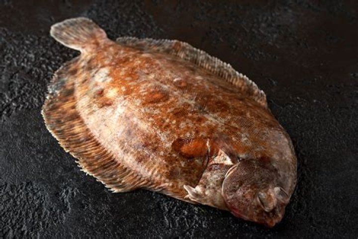 Sole