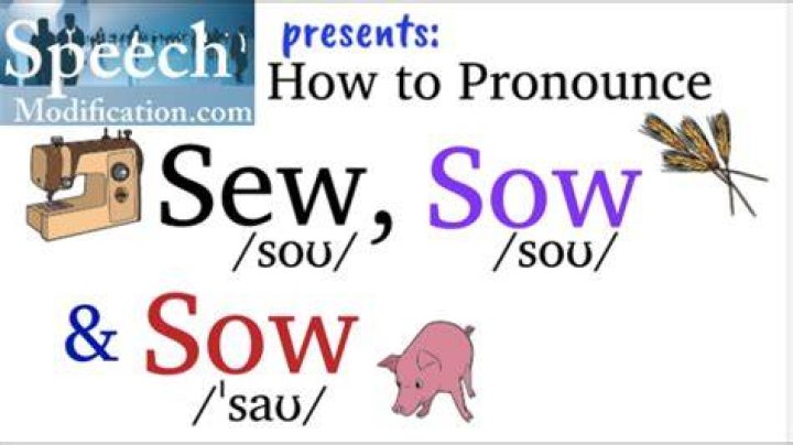 Sounds from sows
