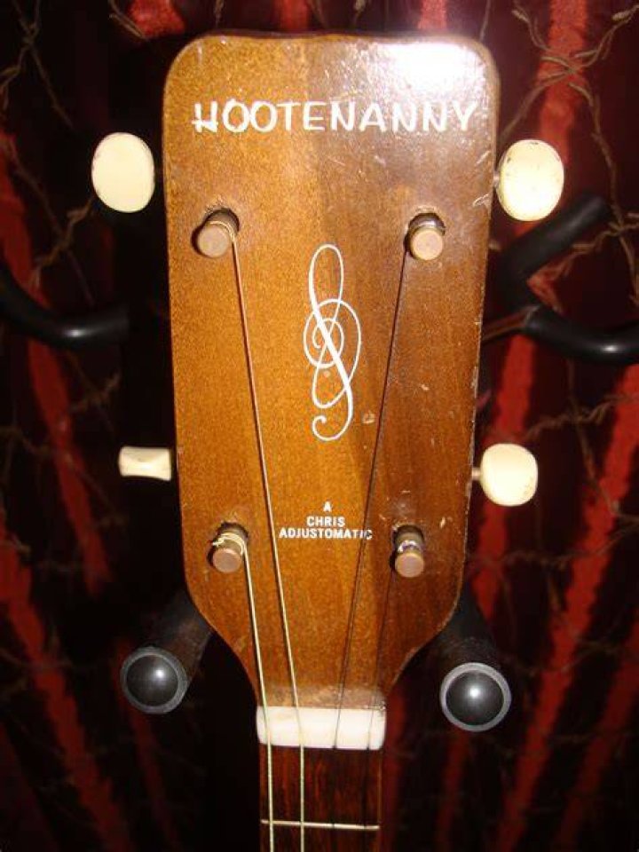 Stringed instrument at a hootenanny