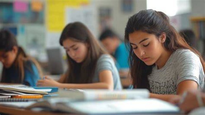 Student-focused school organization: Abbr.