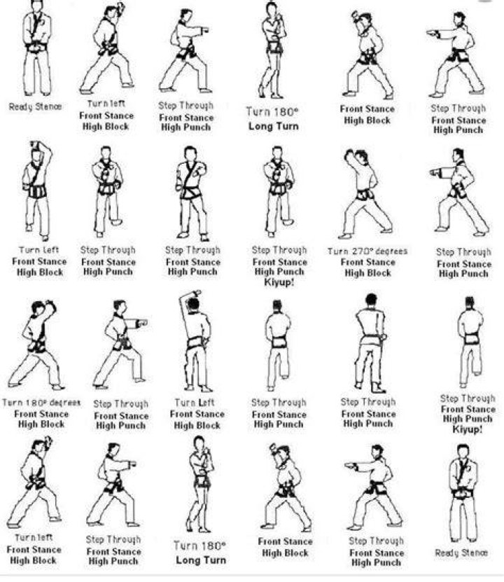 Tae kwon do or karate for example: 2 wds.