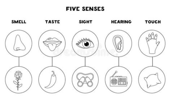 Taste or sight for example