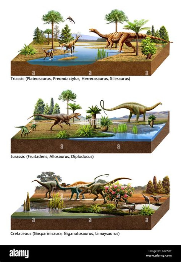 The Mesozoic ___