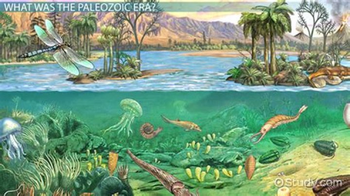 The Paleozoic ___