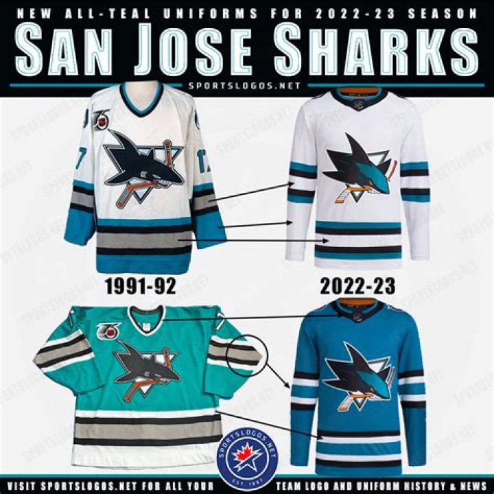 The San ___ Sharks