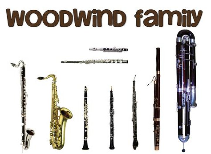 Thin woodwind instrument