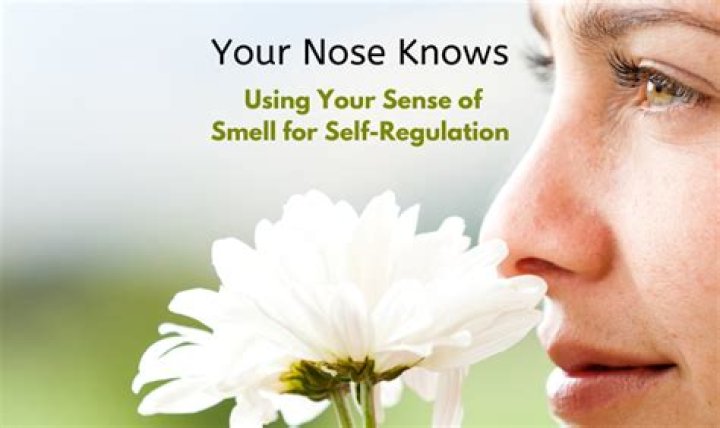 Things your nose knows