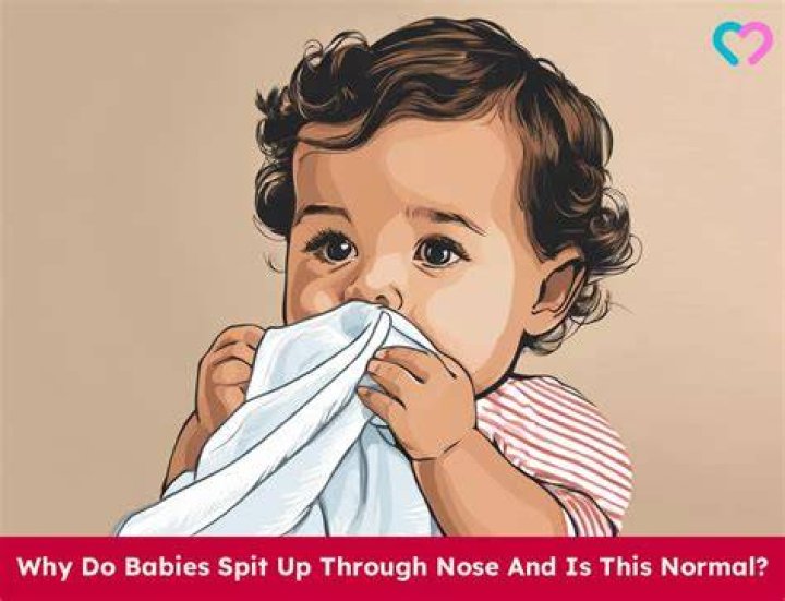 ___ through the nose (spends a bundle)