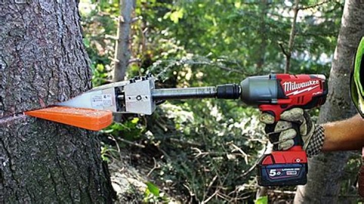 Tool for cutting trees into lumber