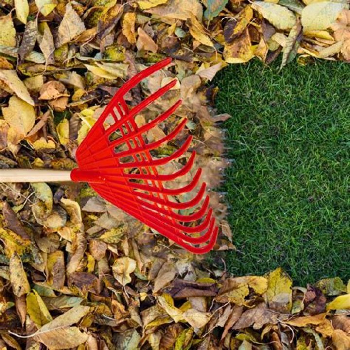 Tool for gathering fallen leaves