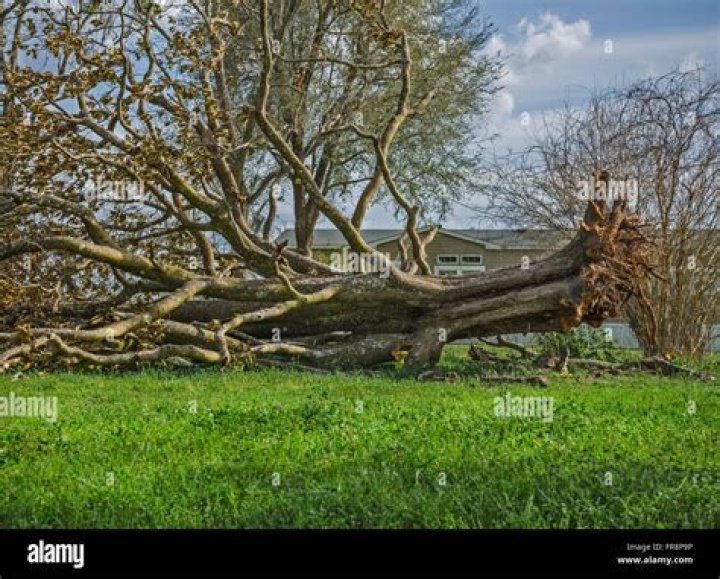 Toppled over