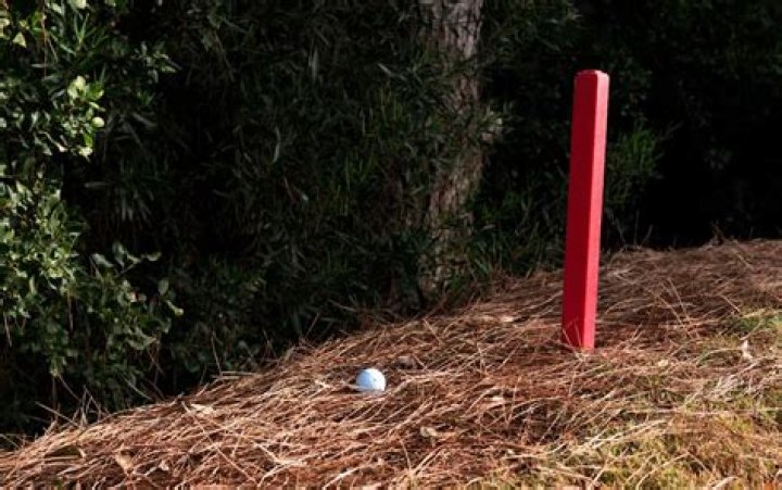 ___ trap (hazard on a golf course)