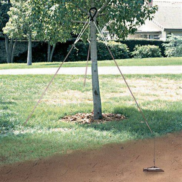 Tree anchor