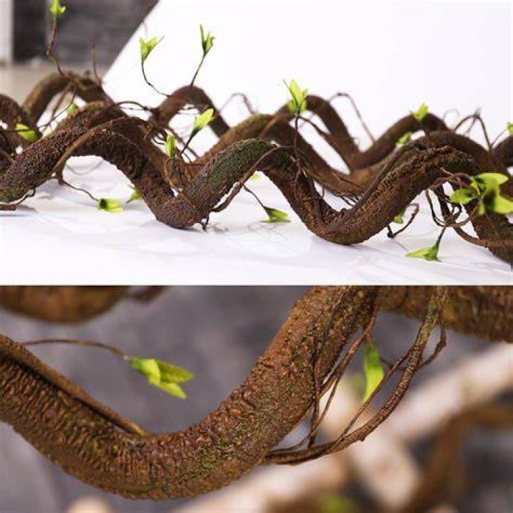 Tree with bendable wood
