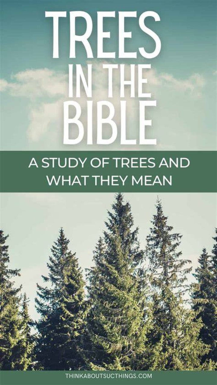 Trees often described as mighty