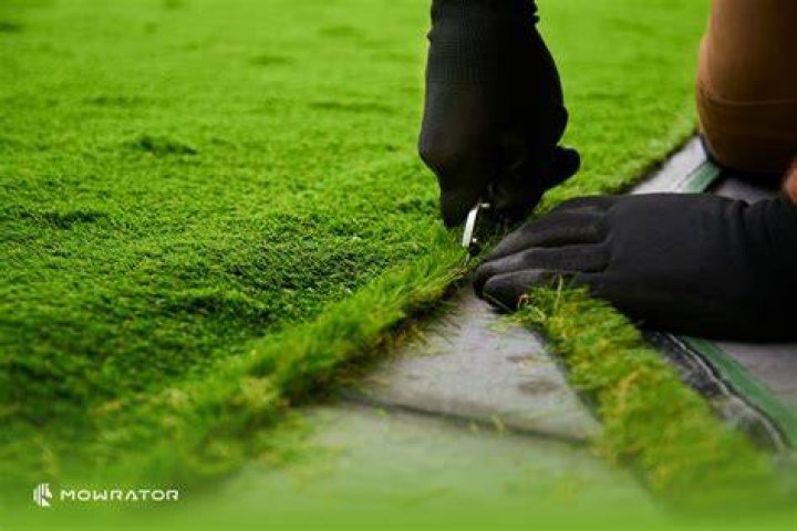 Trim the lawn