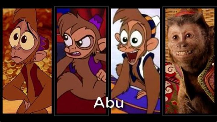 Tufted capuchin monkey in Aladdin