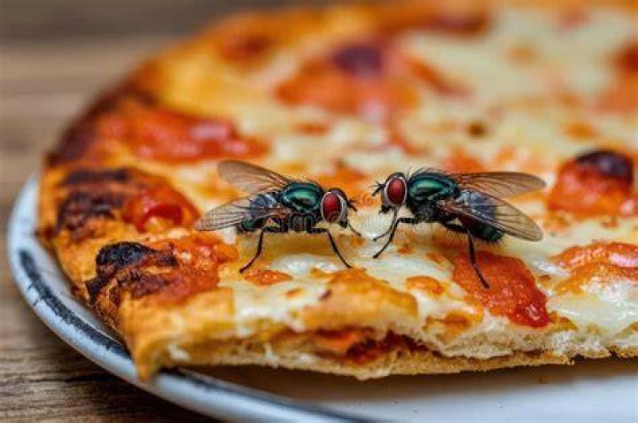 Unappetizing food