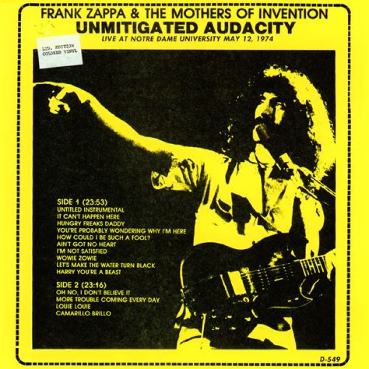 Unmitigated ___ (audacity)