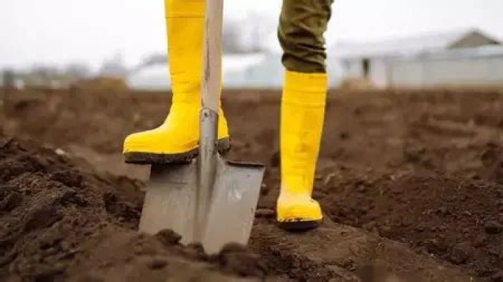 Use a shovel