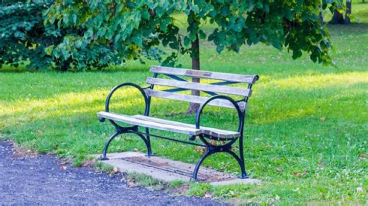 Used a park bench