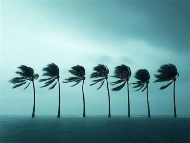 Very strong wind