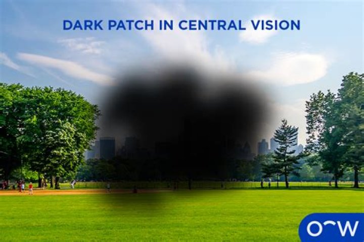 Vision-obscuring weather