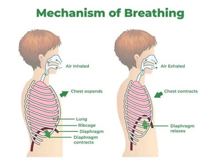 We breathe it