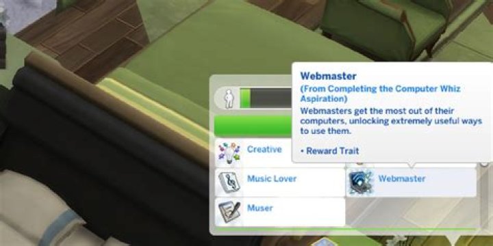 Webmaster's programming code