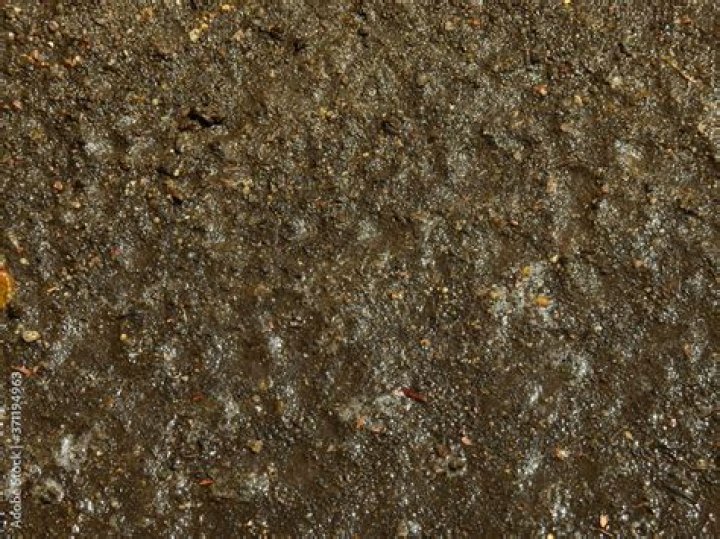 Wet dirt