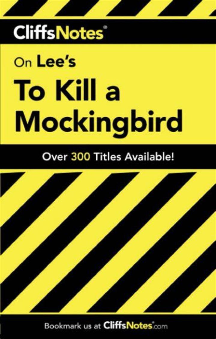 What CliffsNotes summarize about a book