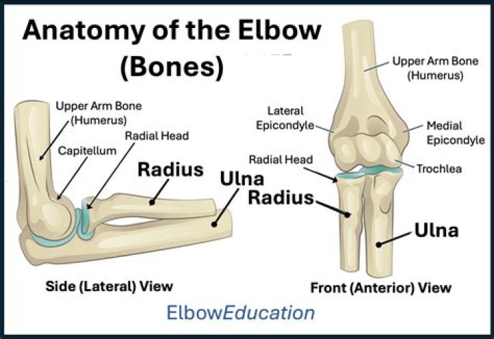 Where an elbow is