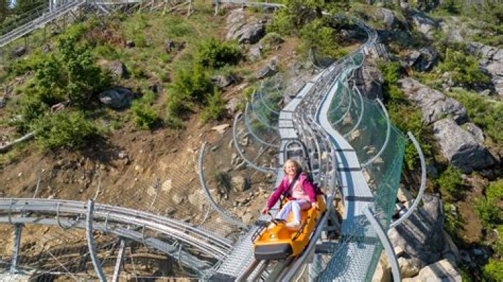 Winter downhill coasters