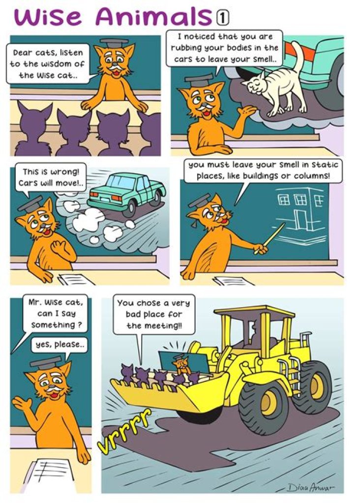 Wise animals supposedly
