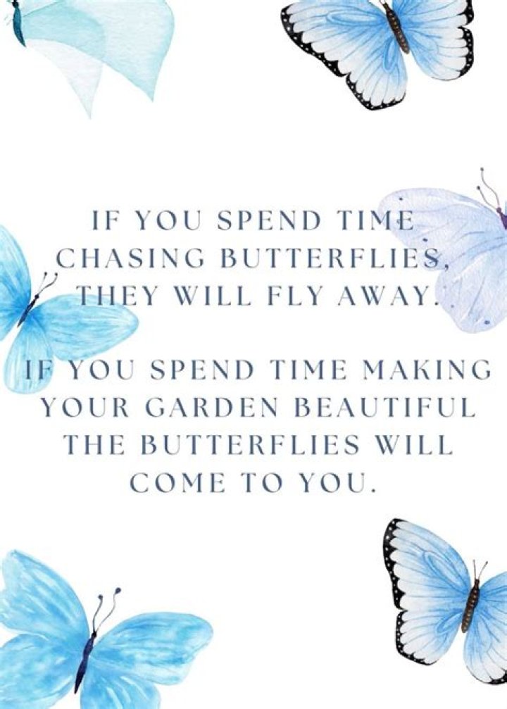 Word said while chasing away a fly