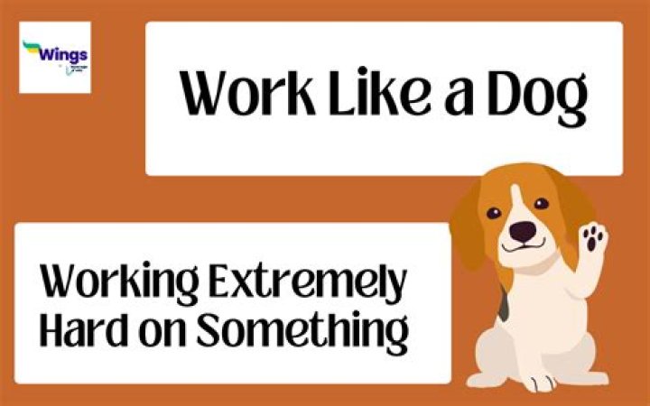Work like a dog