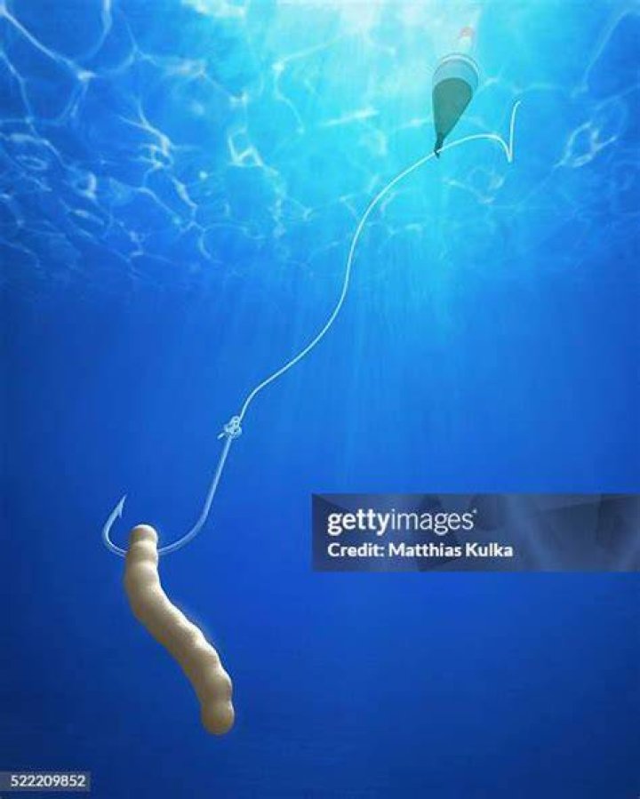 Worm stuck on a fishhook