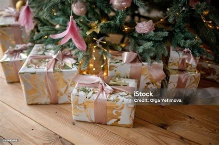 Wrapped items under a Christmas tree
