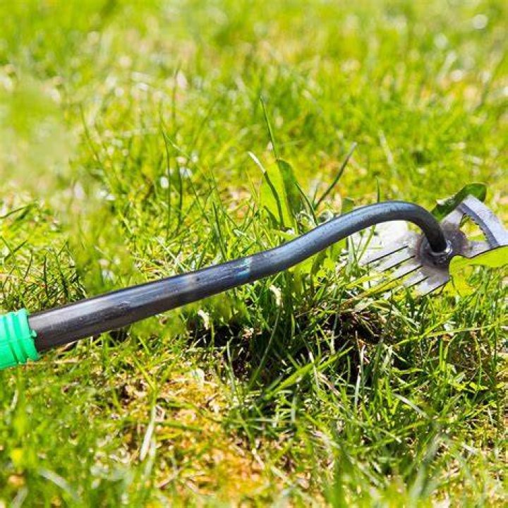 Yard tool with teeth