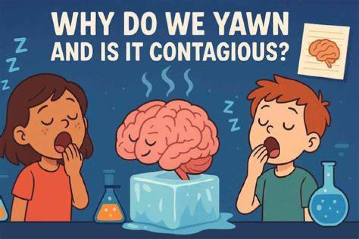 Yawn-inducing conversationalist