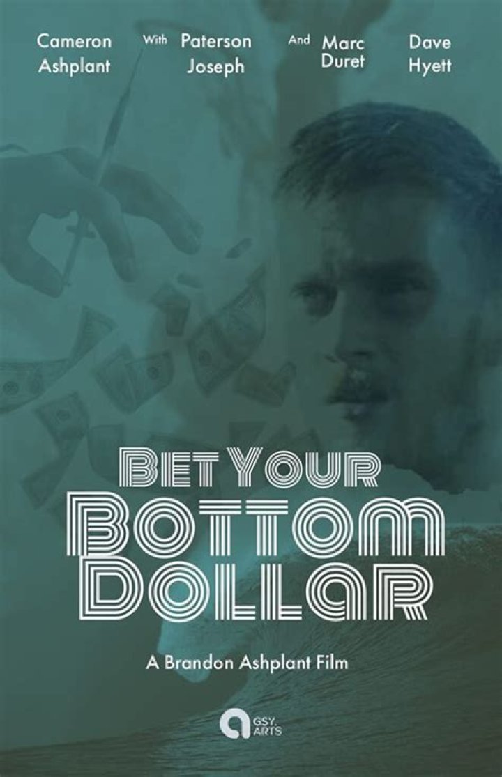 You can ___ your bottom dollar