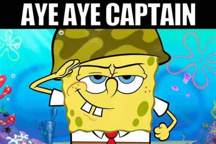 You got it captain!: 2 wds.