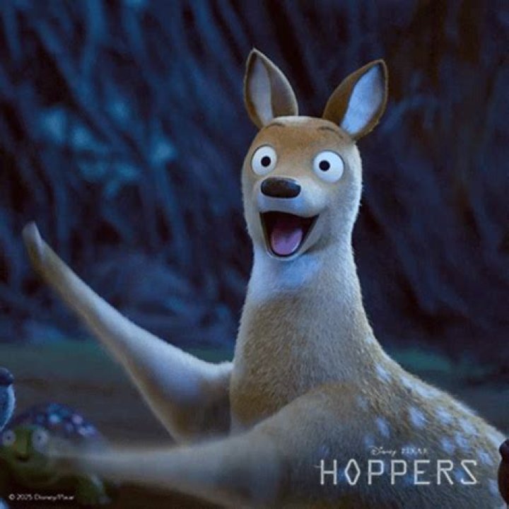 Young animated marsupial