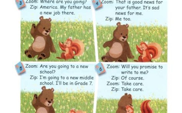 Zip ___ Zoom