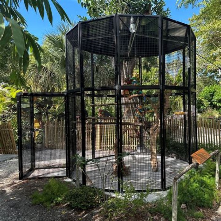 Zoo enclosure